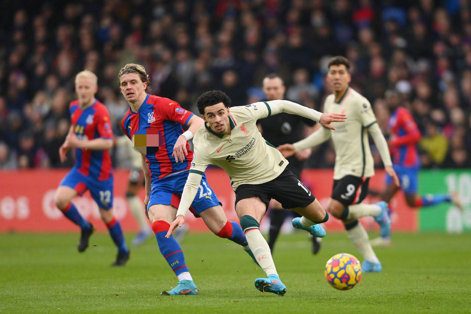 但在面对经 但在面对经